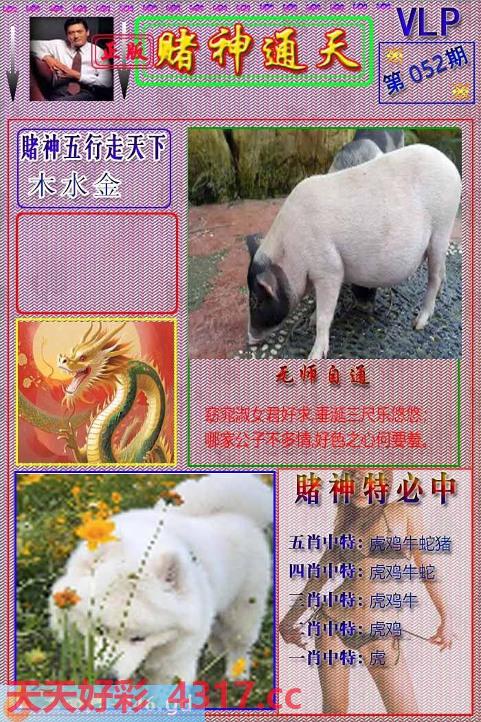 图片加载中...