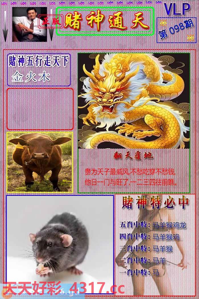 图片加载中...