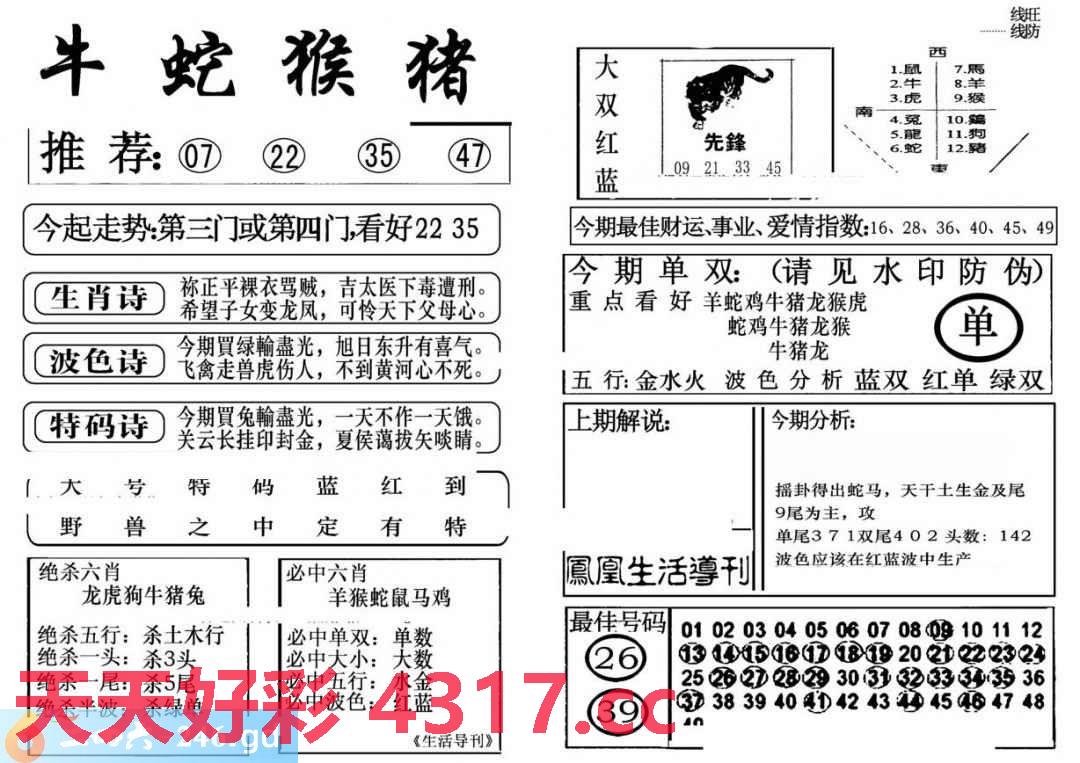 图片加载中...