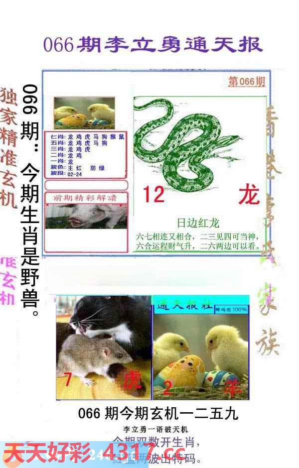 图片加载中...