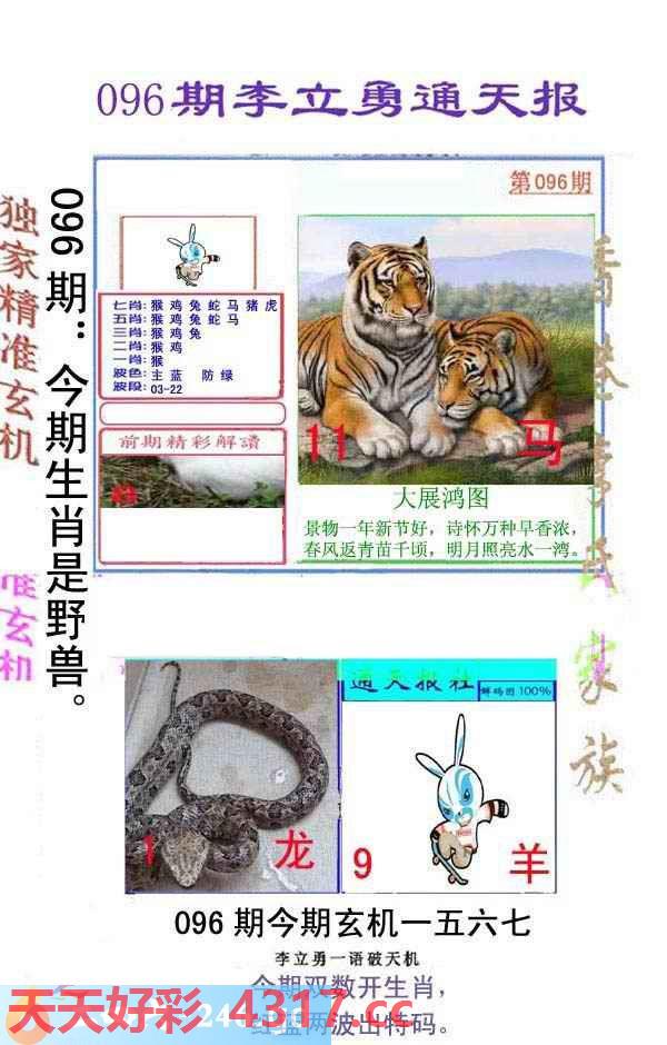 图片加载中...