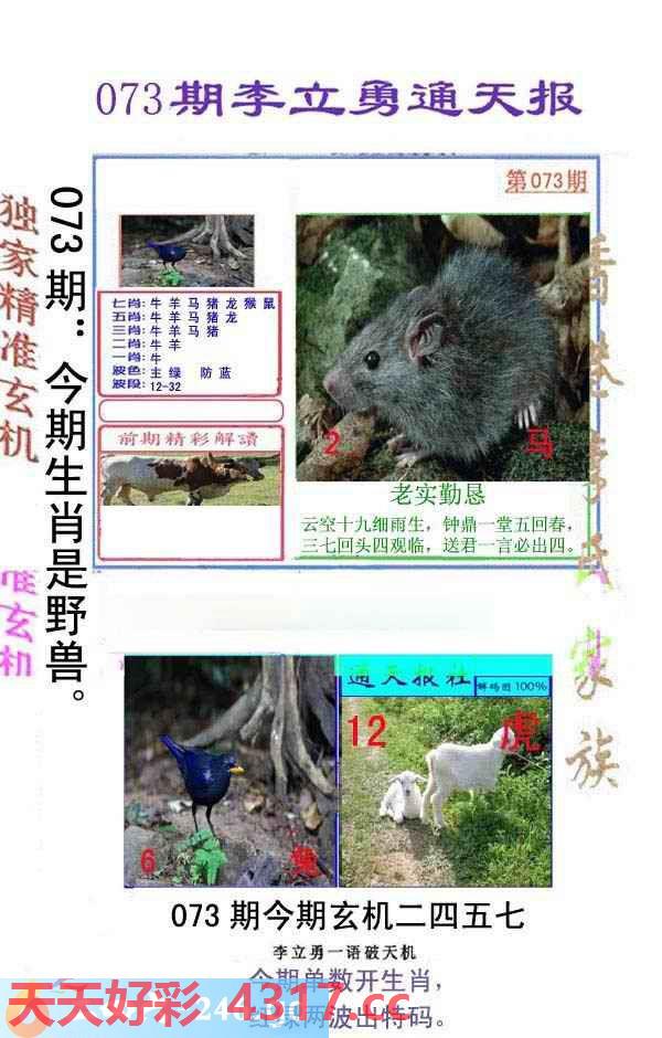 图片加载中...