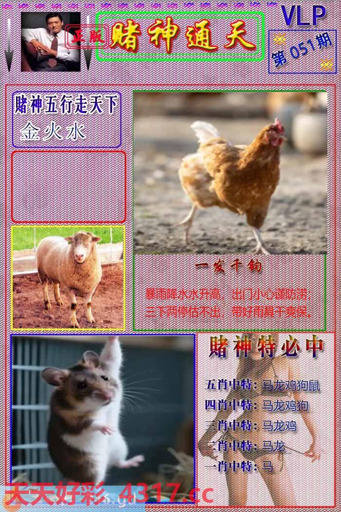 图片加载中...