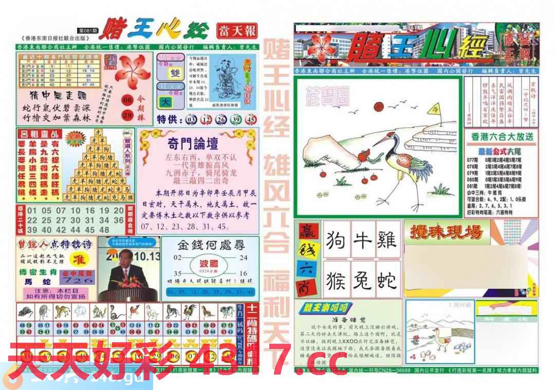 图片加载中...