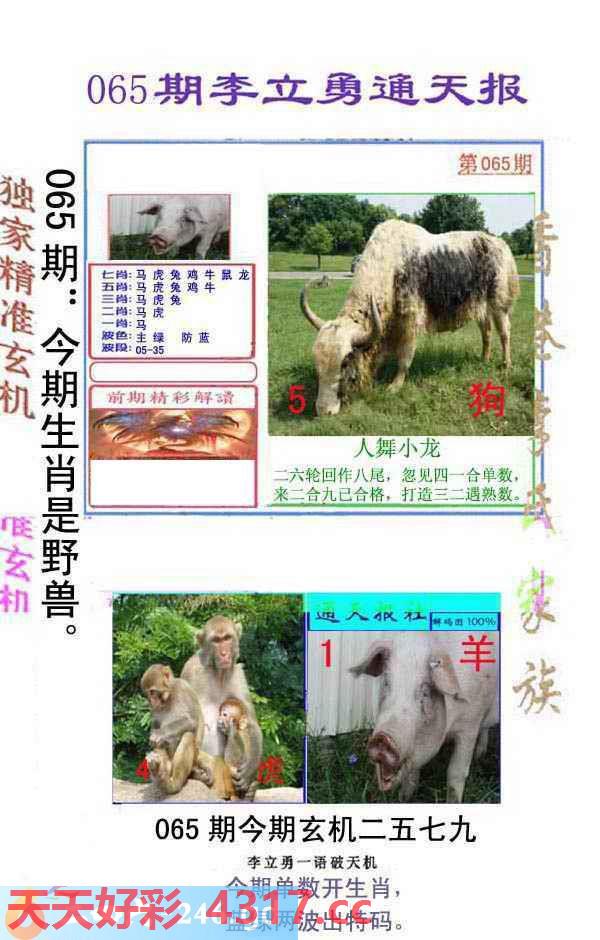 图片加载中...