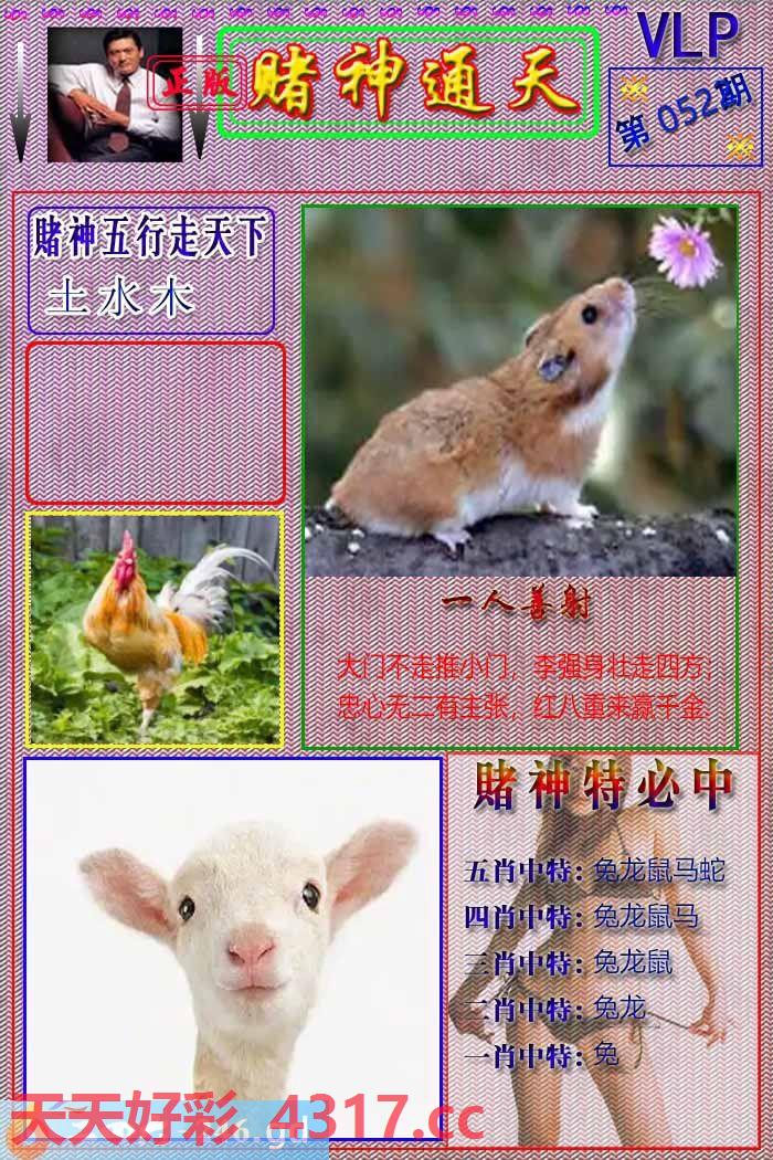 图片加载中...