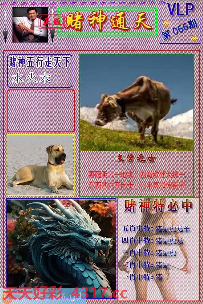 图片加载中...