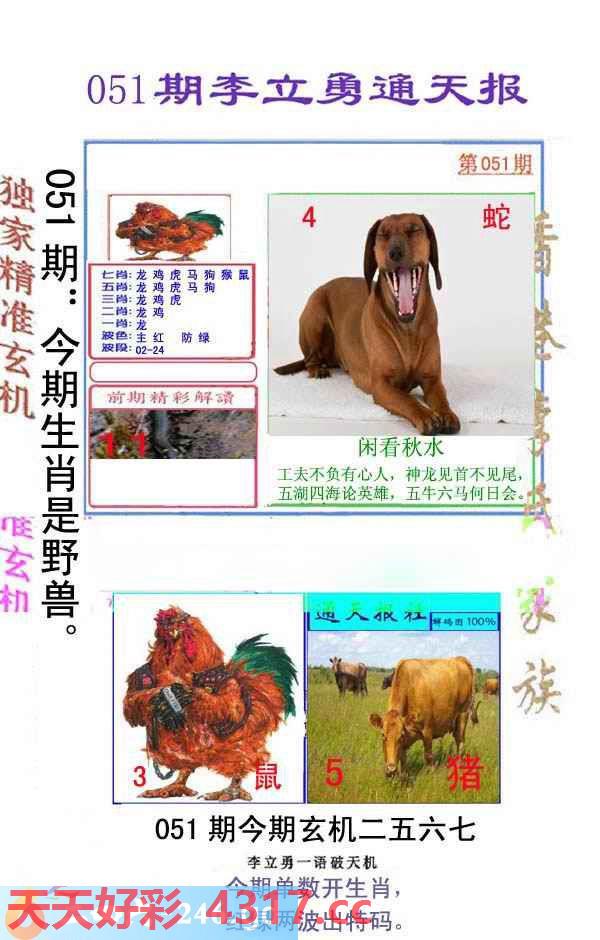 图片加载中...