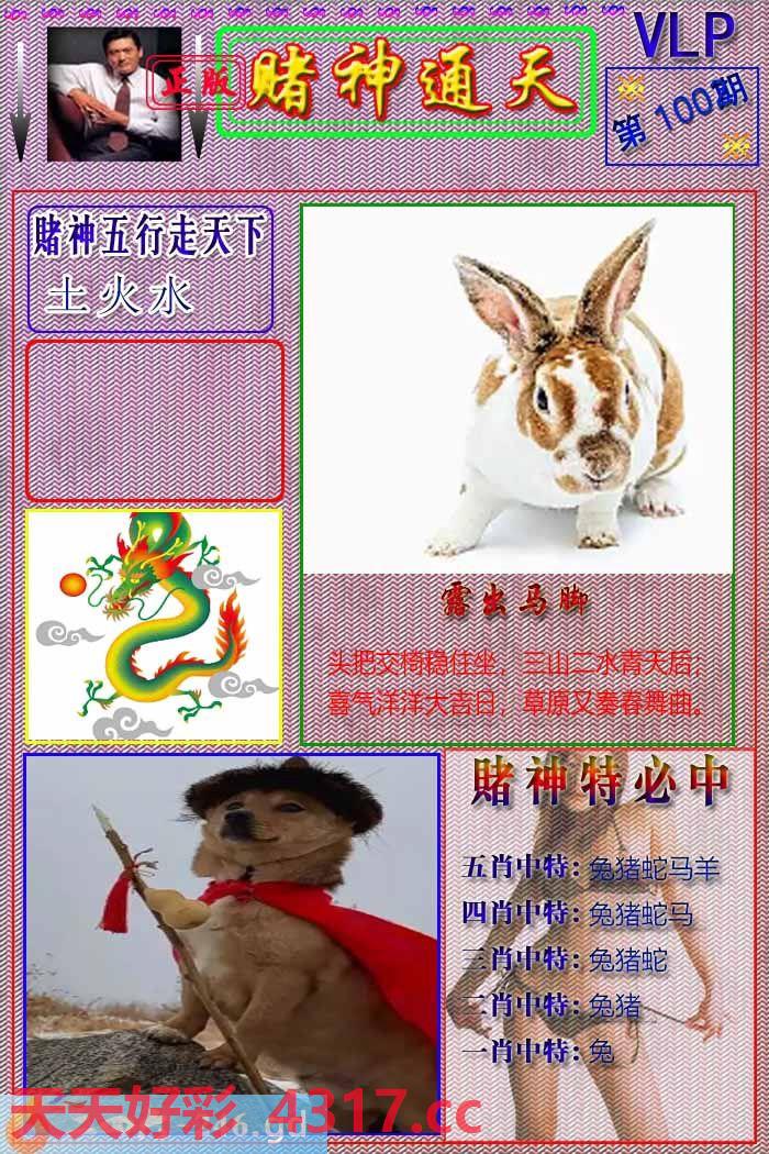 图片加载中...