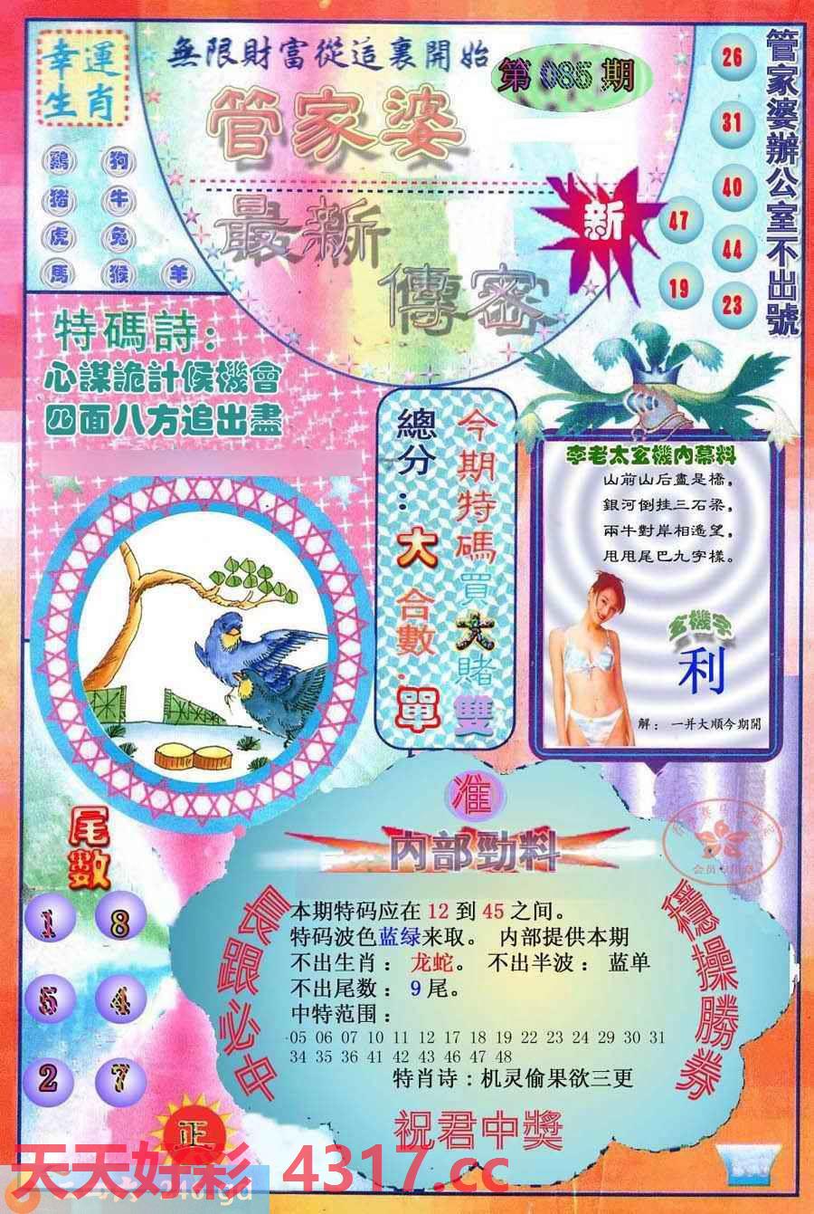 图片载入中...