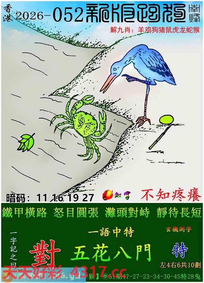 图片加载中...