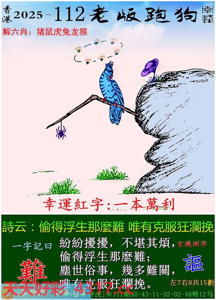 图片载入中...