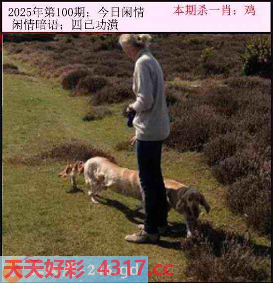图片加载中...