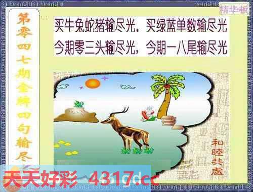 图片加载中...