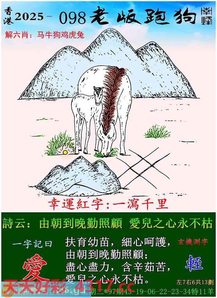 图片加载中...