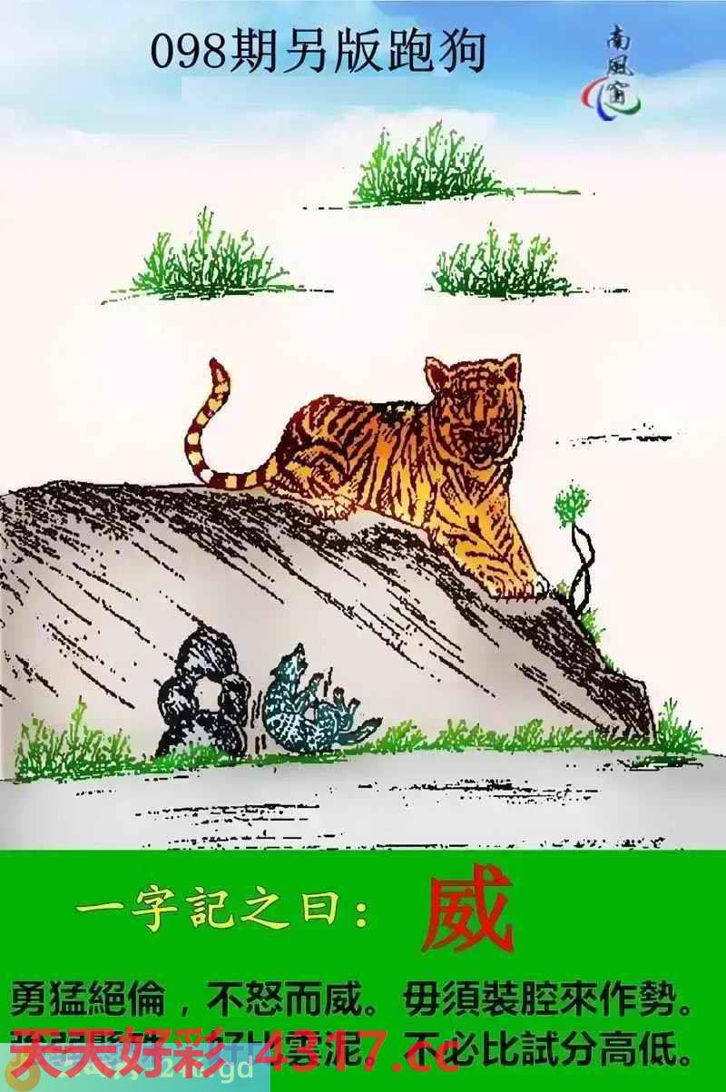 图片加载中...
