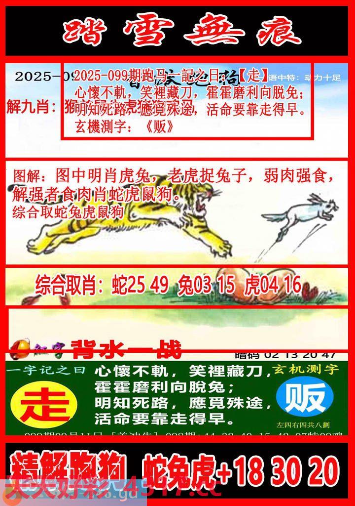 图片加载中...