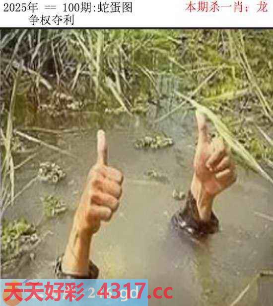 图片加载中...