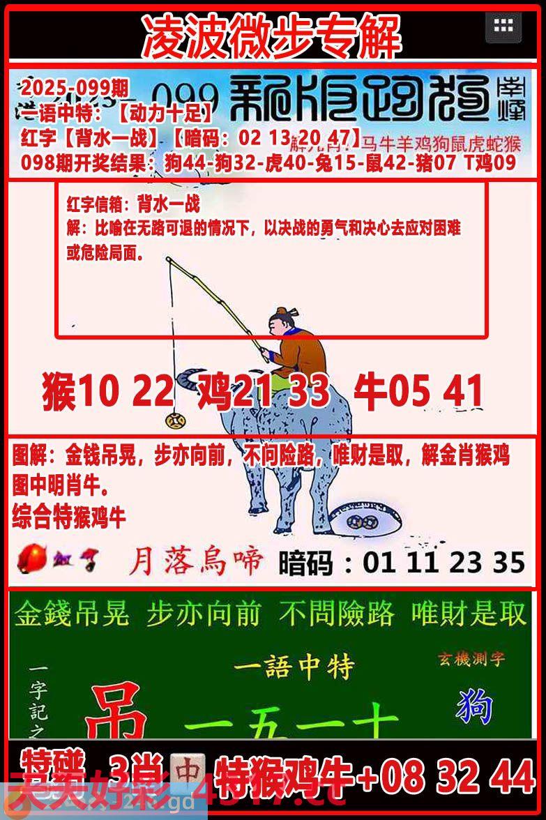 图片加载中...