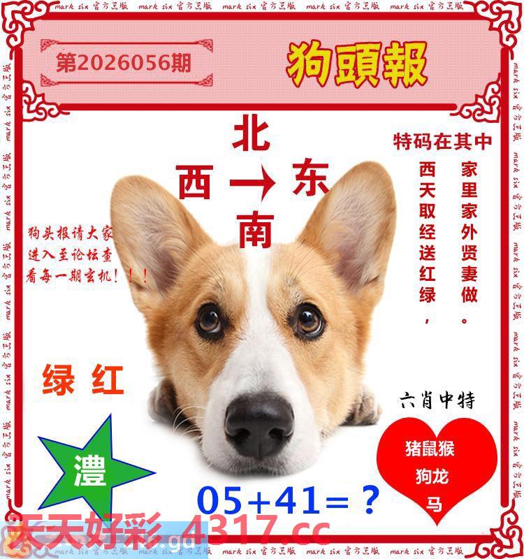 图片加载中...