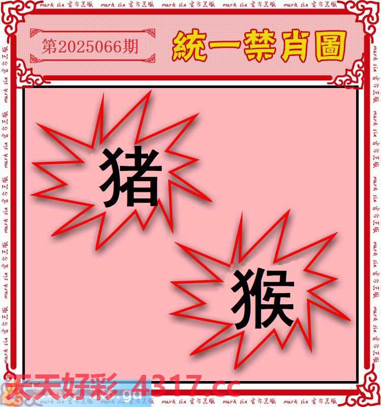 图片加载中...