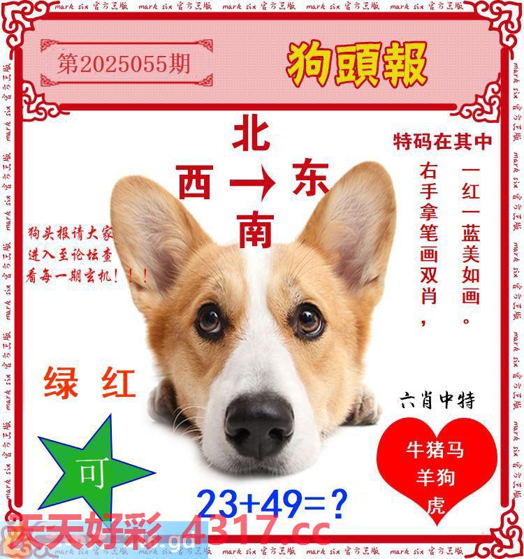 图片加载中...