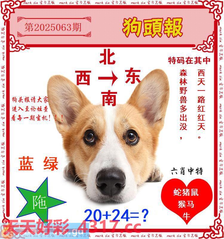 图片加载中...