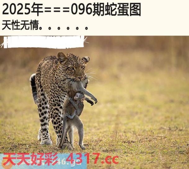 图片加载中...