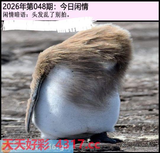 图片加载中...