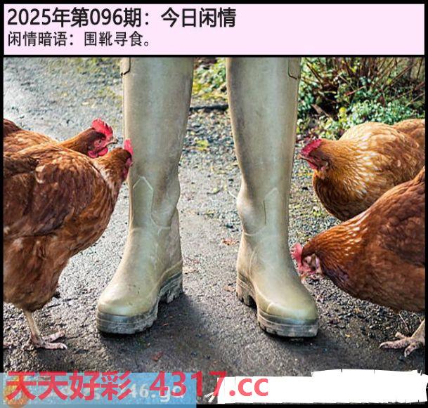 图片加载中...