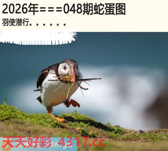 图片加载中...