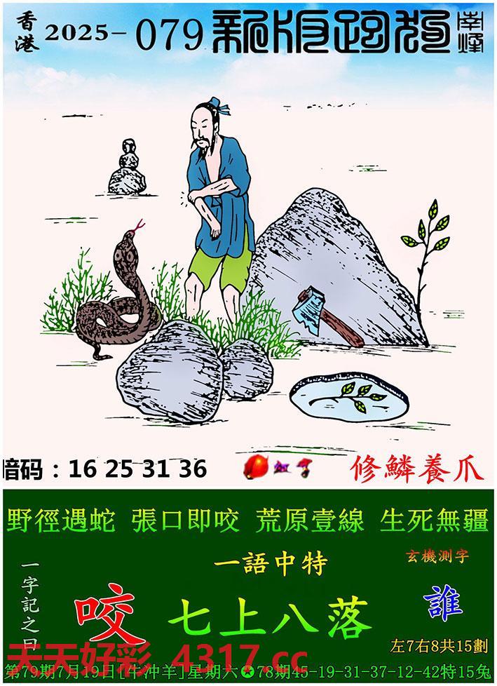 图片加载中...