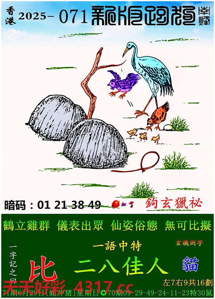 图片加载中...