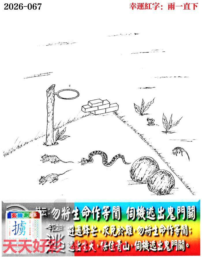 图片加载中...