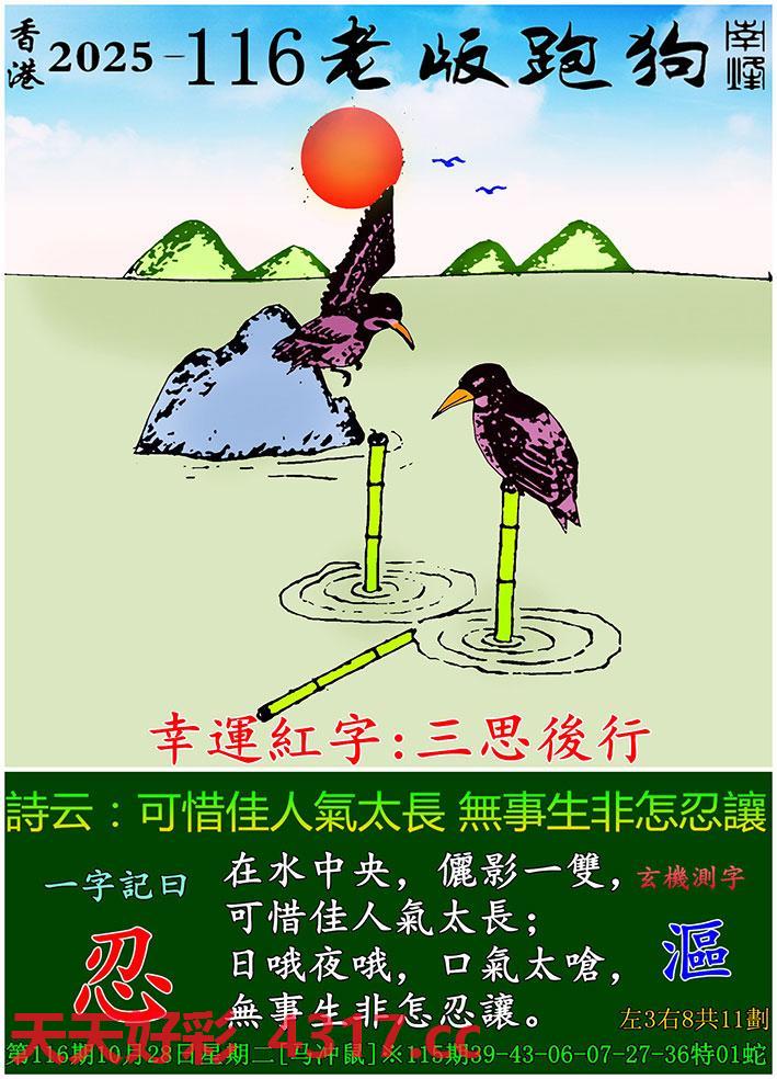 图片加载中...