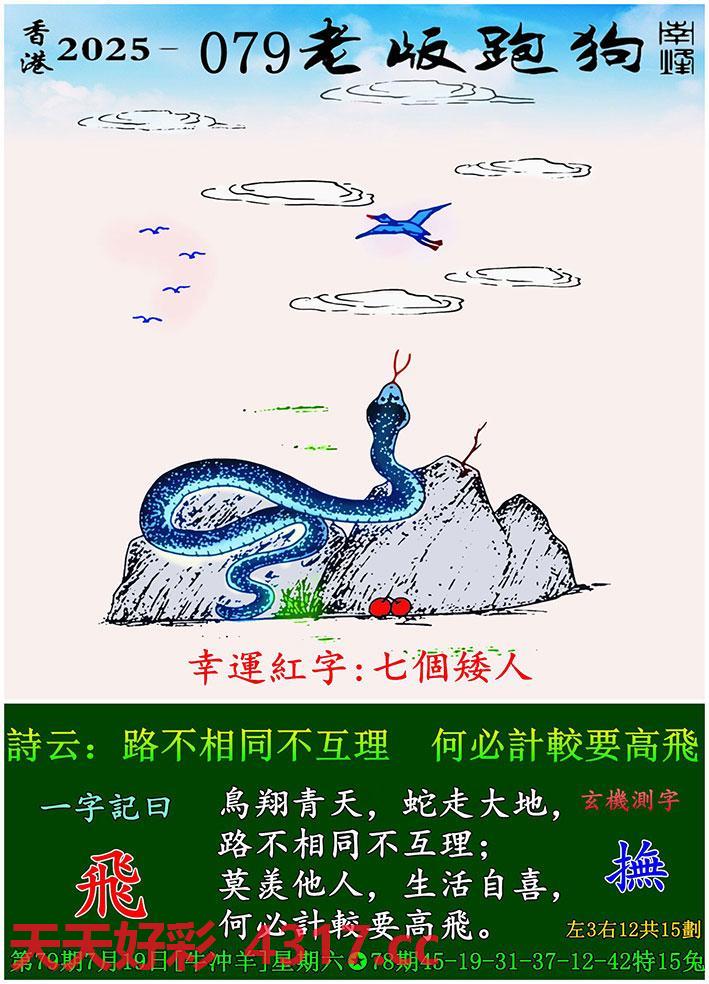图片加载中...