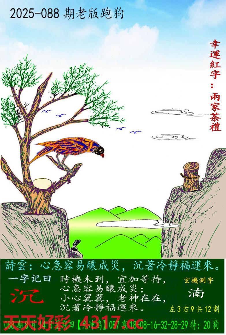 图片载入中...