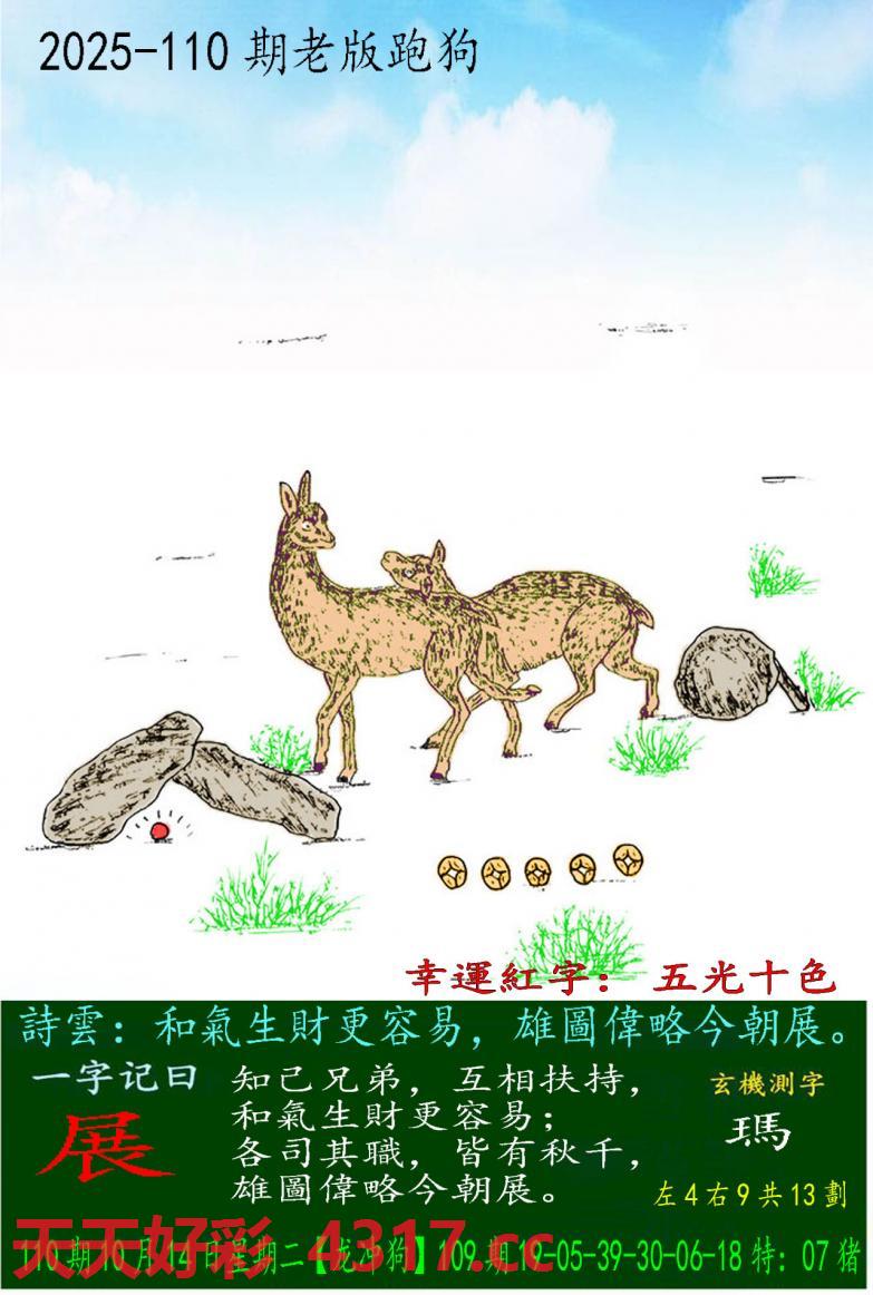 图片加载中...
