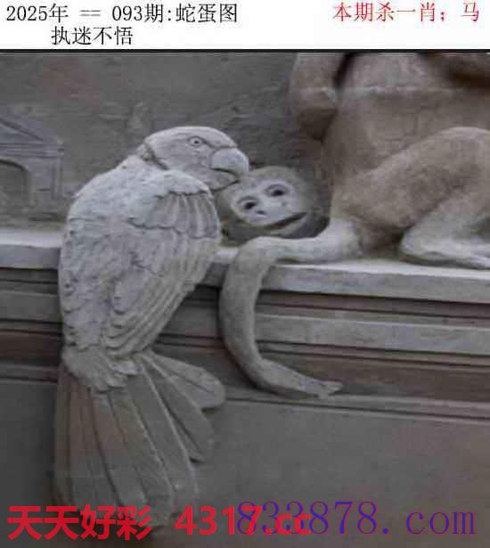 图片加载中...