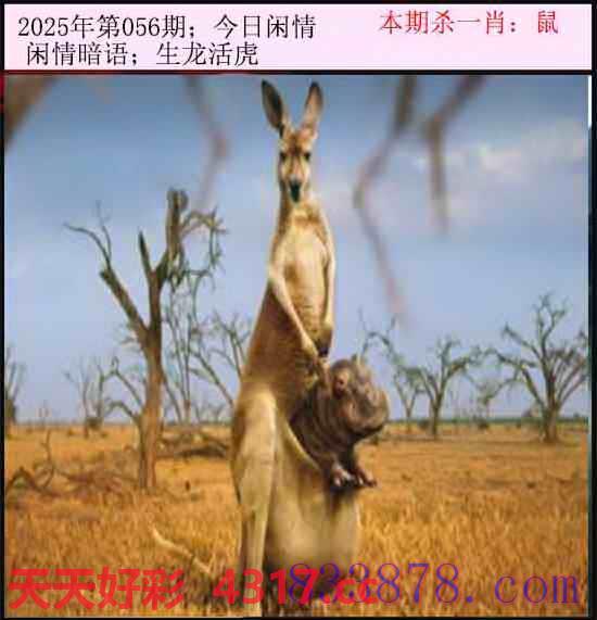 图片加载中...