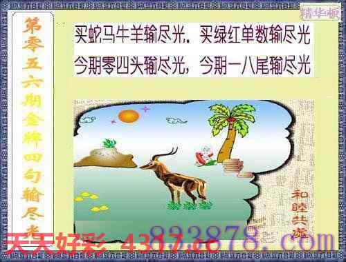 图片加载中...