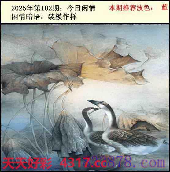 图片加载中...
