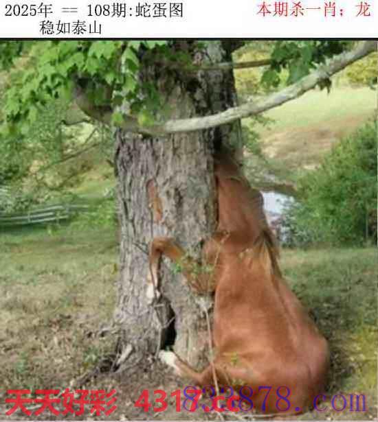 图片加载中...