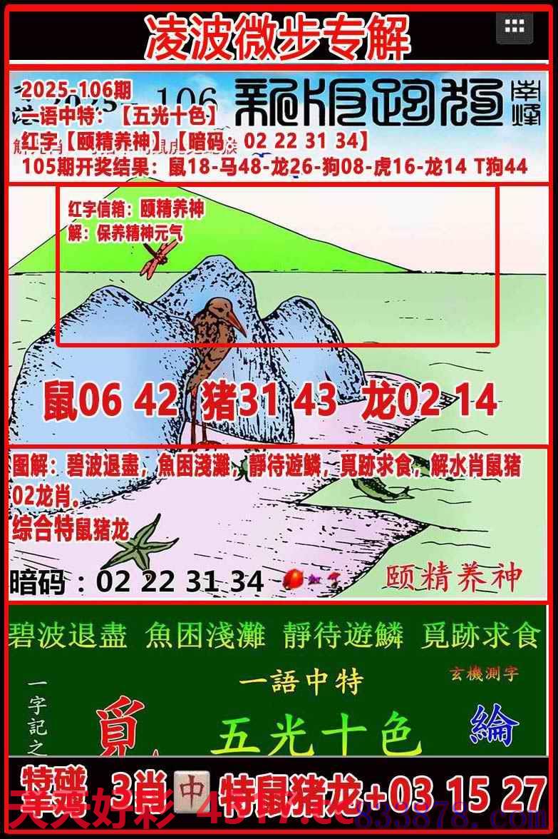 图片加载中...