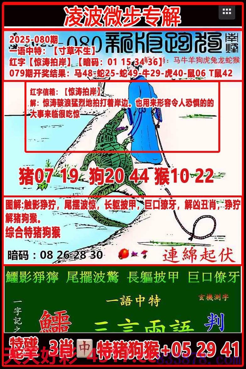 图片加载中...