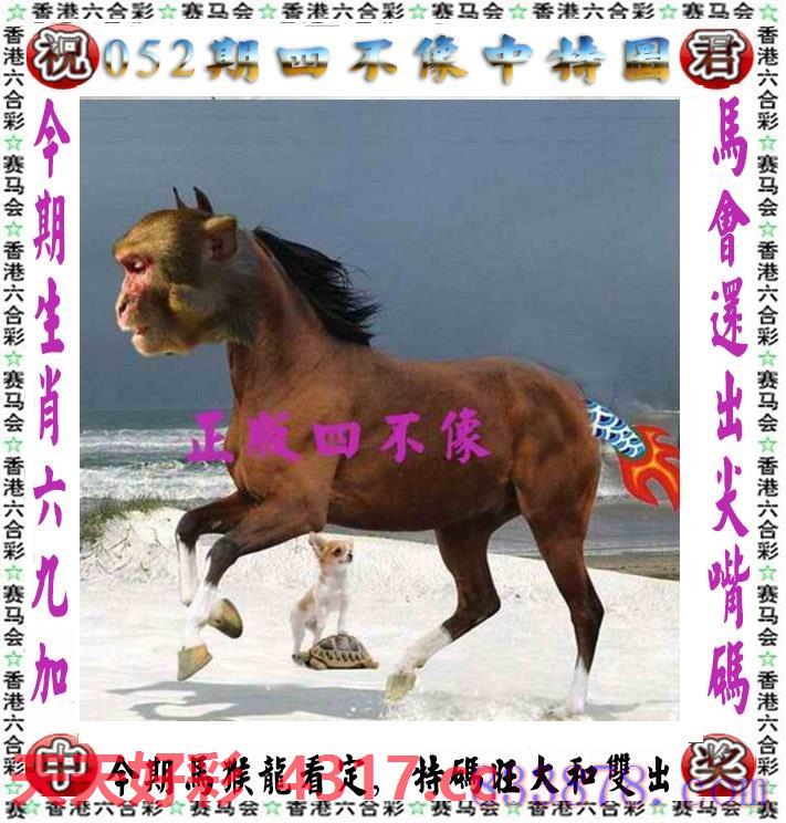 图片加载中...