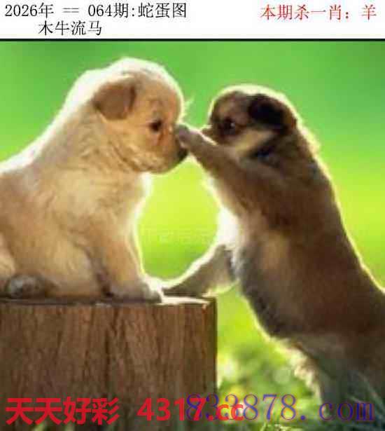 图片加载中...