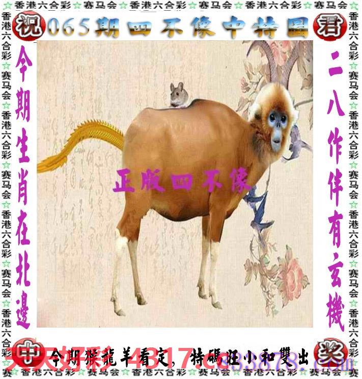 图片加载中...