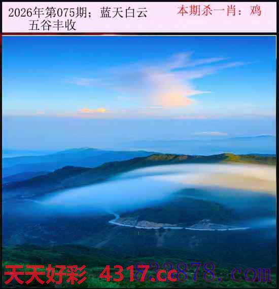 图片加载中...