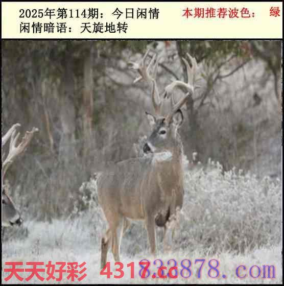 图片加载中...